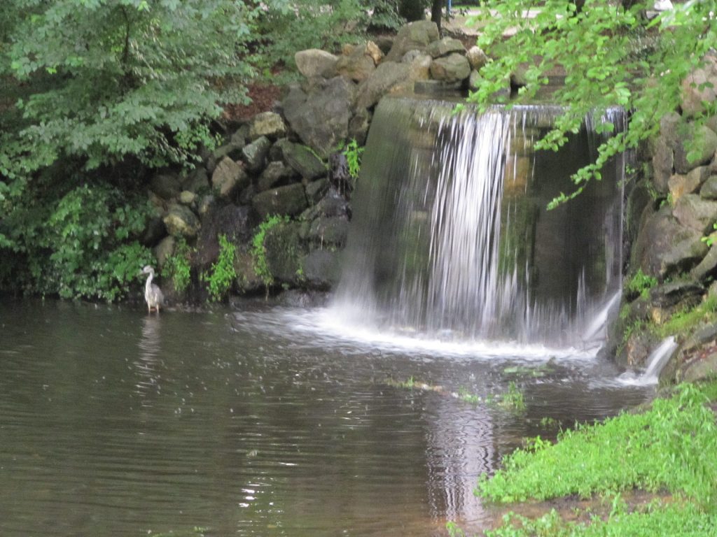 Kleine waterval Park Sonsbeek Arnhem
