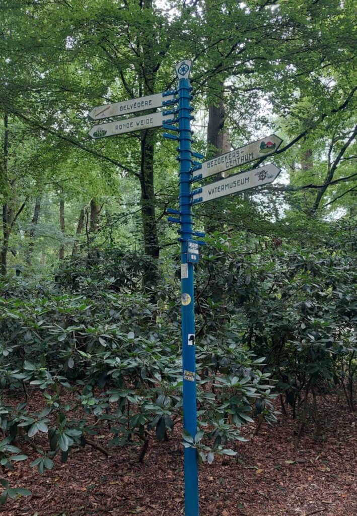 Pauline wandelt in zomerse sferen