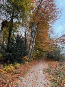 Wandeling door Park Gulden Bodem CP