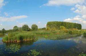 landschapstriënale-2026-gelders-genootschap